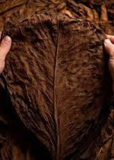 Unpacked Natural Grabba Leaves @800 ksh
