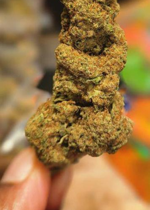 Exotic Cali Kush 2G@ ksh 3,800